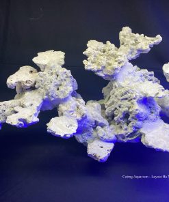 MÃ 68 - LAYOUT CÁ BIỂN BỂ 90CM - ROYALAQUA