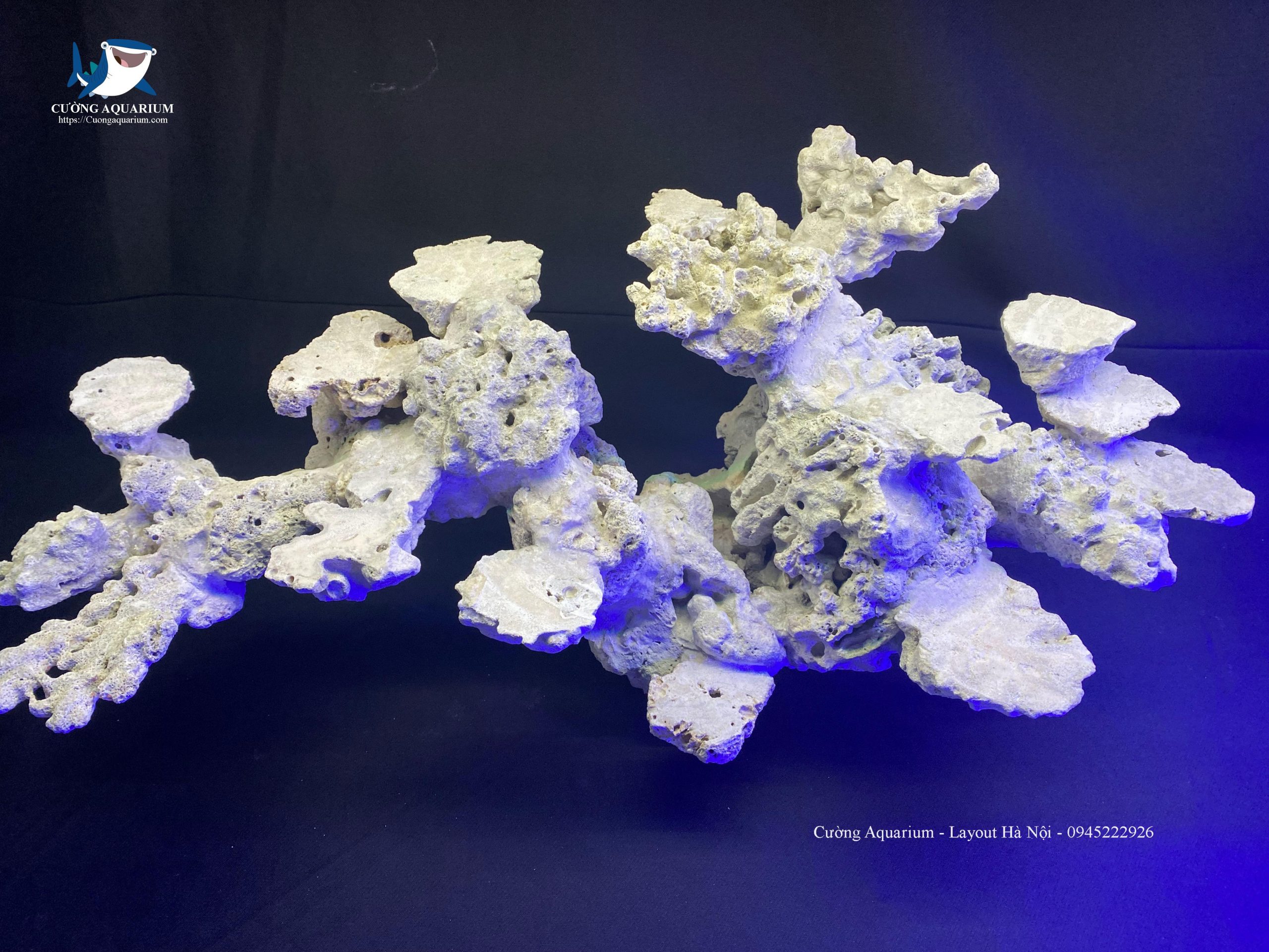 layout-ca-canh-bien-cuongaquarium (59)