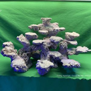 MÃ 61 - LAYOUT CÁ BIỂN BỂ 40CM - ROYALAQUA