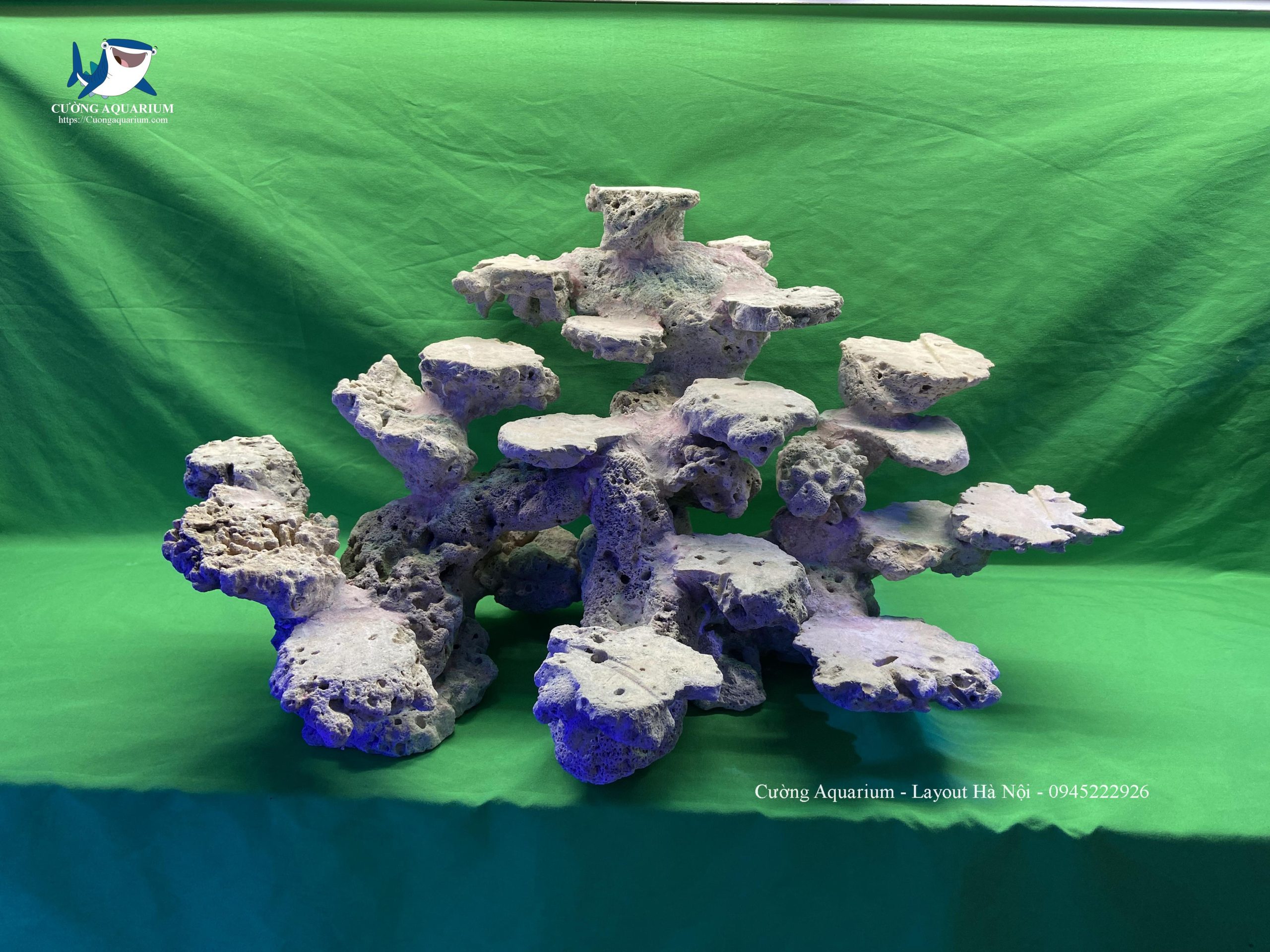 layout-ca-canh-bien-cuongaquarium (6)