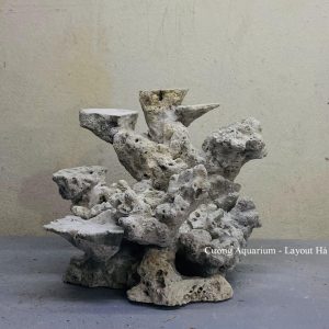 MÃ 176 - LAYOUT CÁ BIỂN BỂ 40CM - ROYALAQUA