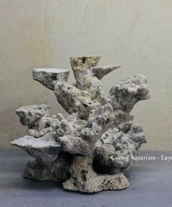 MÃ 176 - LAYOUT CÁ BIỂN BỂ 40CM - ROYALAQUA