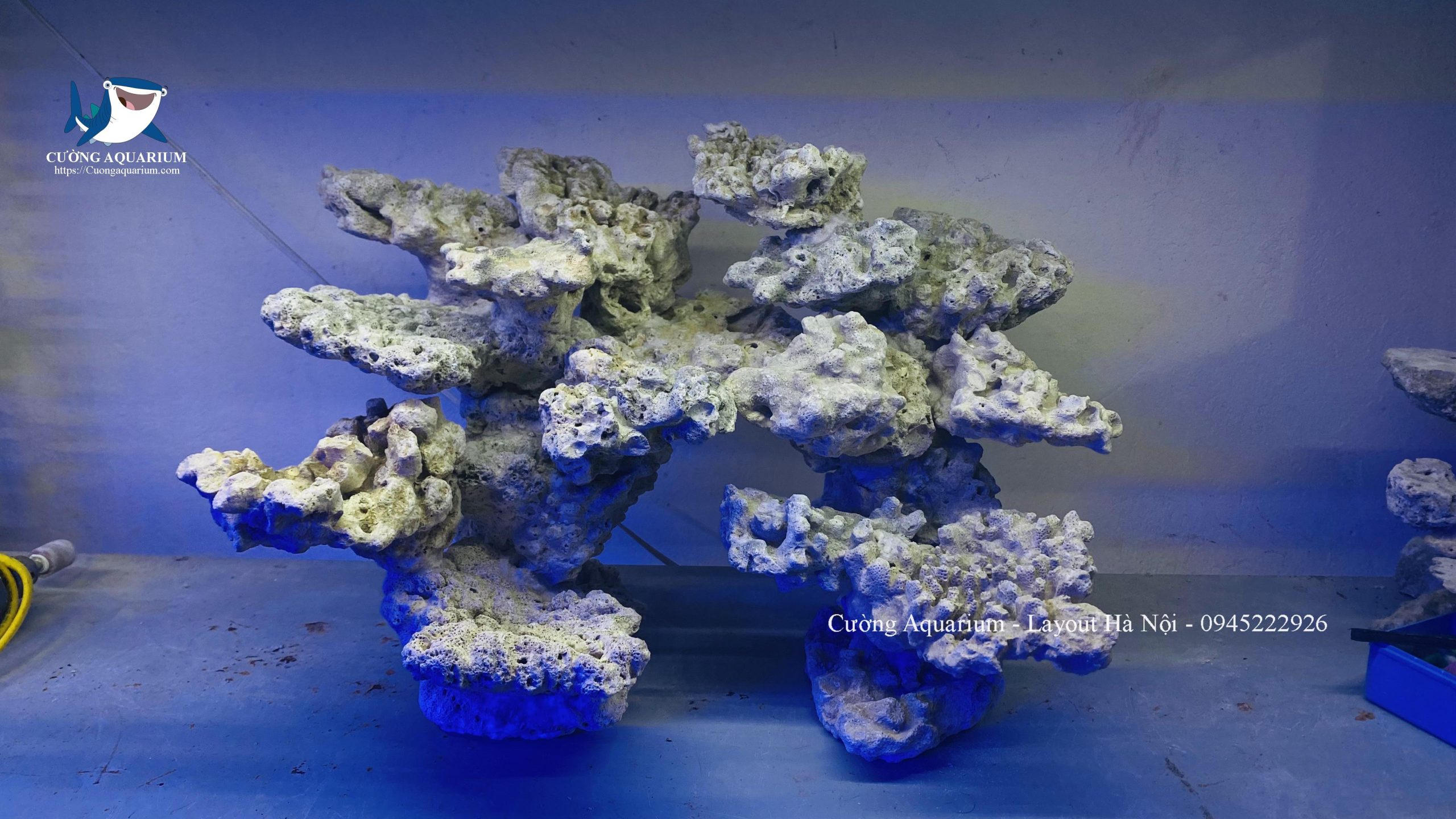 layout-ca-canh-bien-cuongaquarium (610)