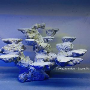 MÃ 180 - LAYOUT CÁ BIỂN BỂ 60CM - ROYALAQUA