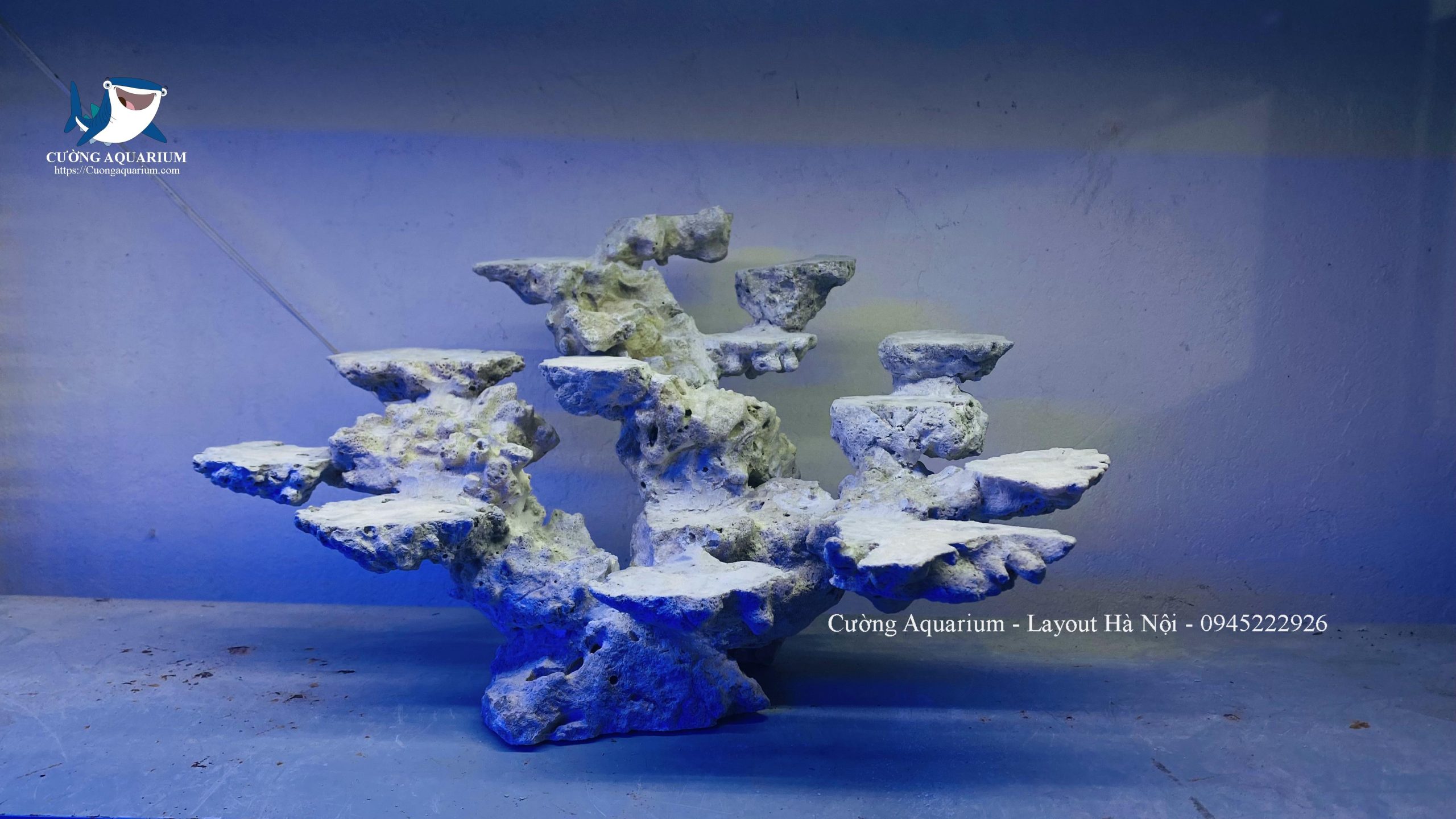 layout-ca-canh-bien-cuongaquarium (613)