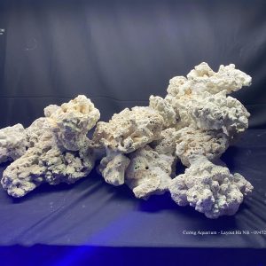 MÃ 69 - LAYOUT CÁ CẢNH BIỂN BỂ  90CM - ROYALAQUA