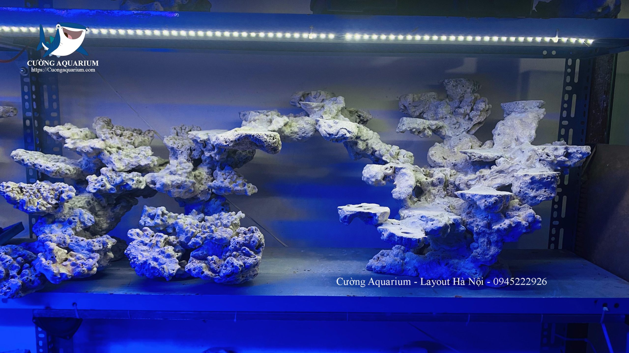 layout-ca-canh-bien-cuongaquarium (630)