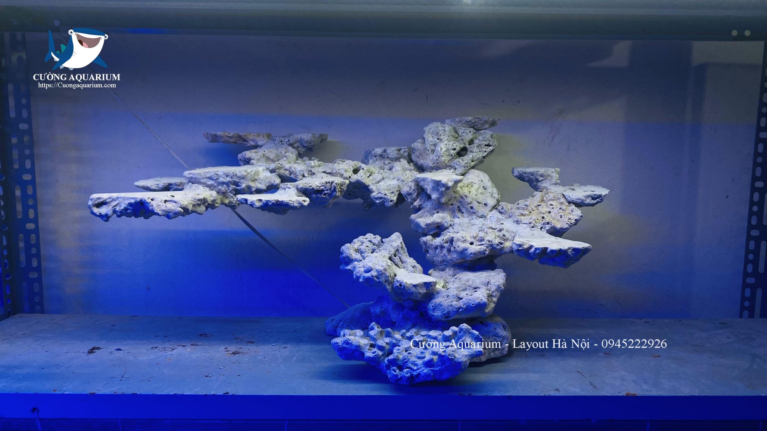 layout-ca-canh-bien-cuongaquarium (634)