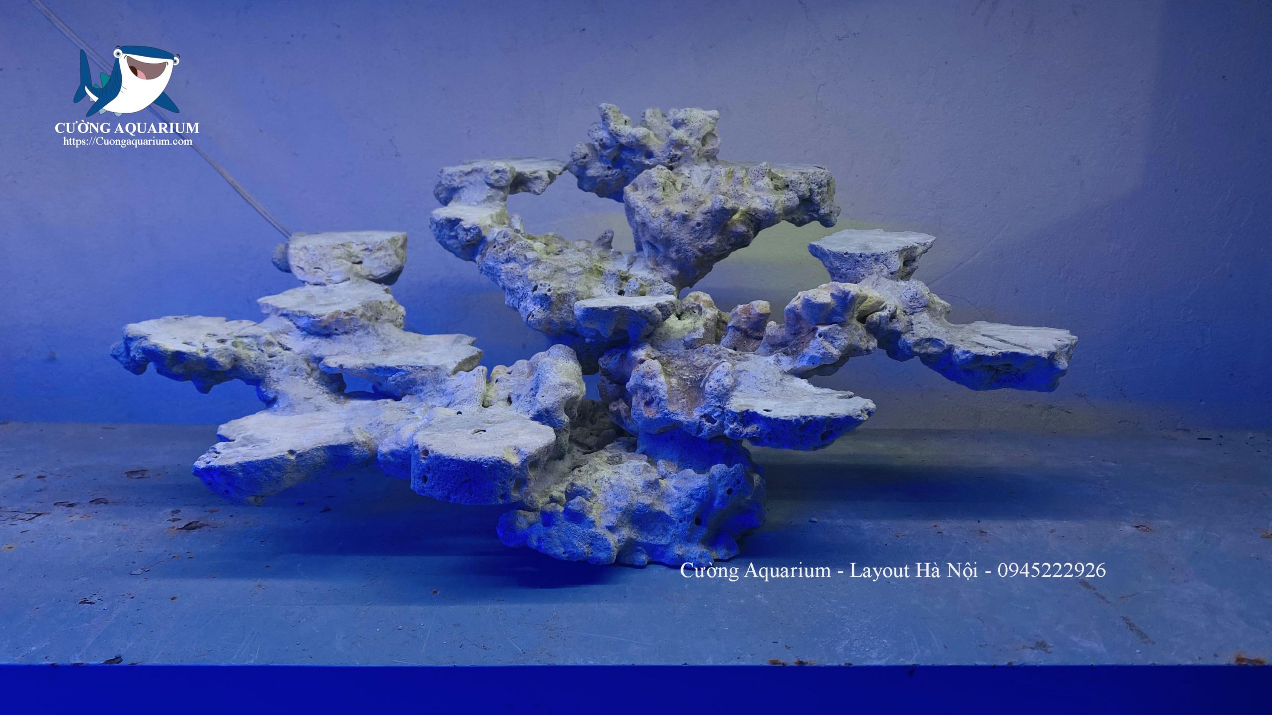 layout-ca-canh-bien-cuongaquarium (638)