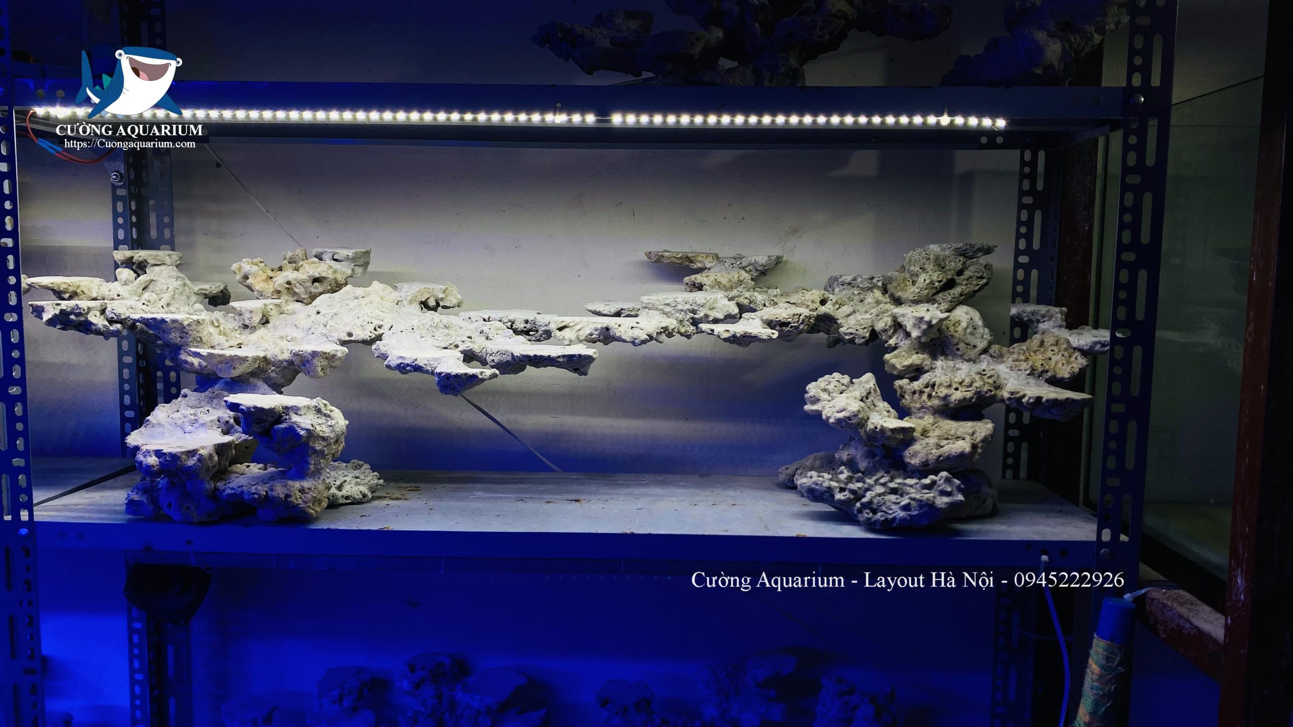 layout-ca-canh-bien-cuongaquarium (657)