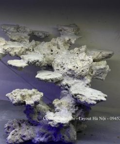 MÃ 192 - LAYOUT CÁ BIỂN BỂ 40CM - ROYALAQUA