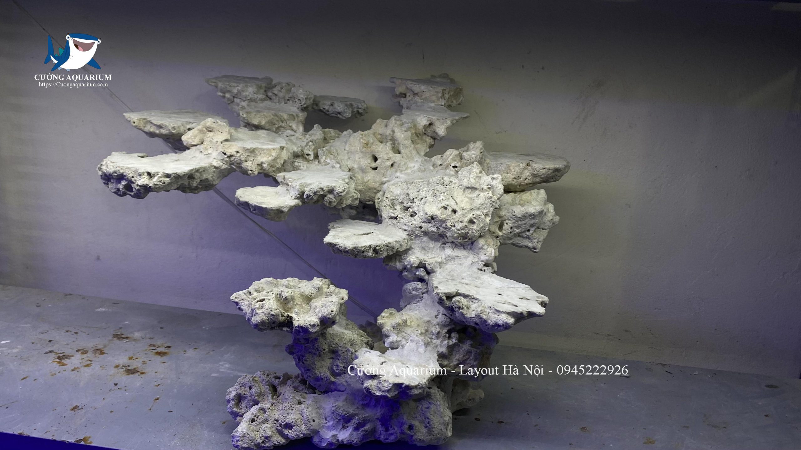 layout-ca-canh-bien-cuongaquarium (660)