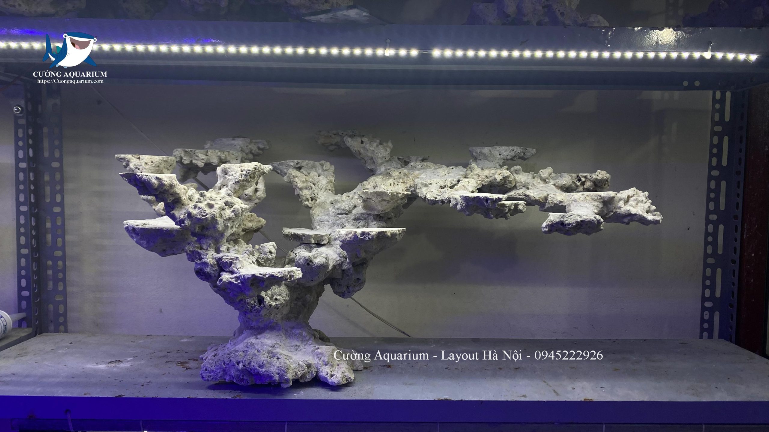 layout-ca-canh-bien-cuongaquarium (670)