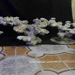 MÃ 195 - LAYOUT CÁ BIỂN BỂ 210CM - ROYALAQUA