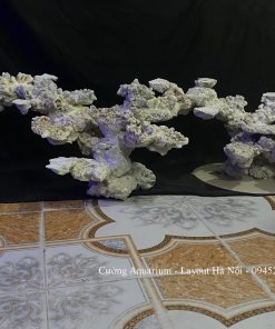 MÃ 195 - LAYOUT CÁ BIỂN BỂ 210CM - ROYALAQUA