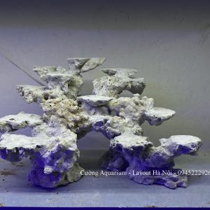 MÃ 198 - LAYOUT CÁ BIỂN BỂ 50x40x40CM - ROYALAQUA