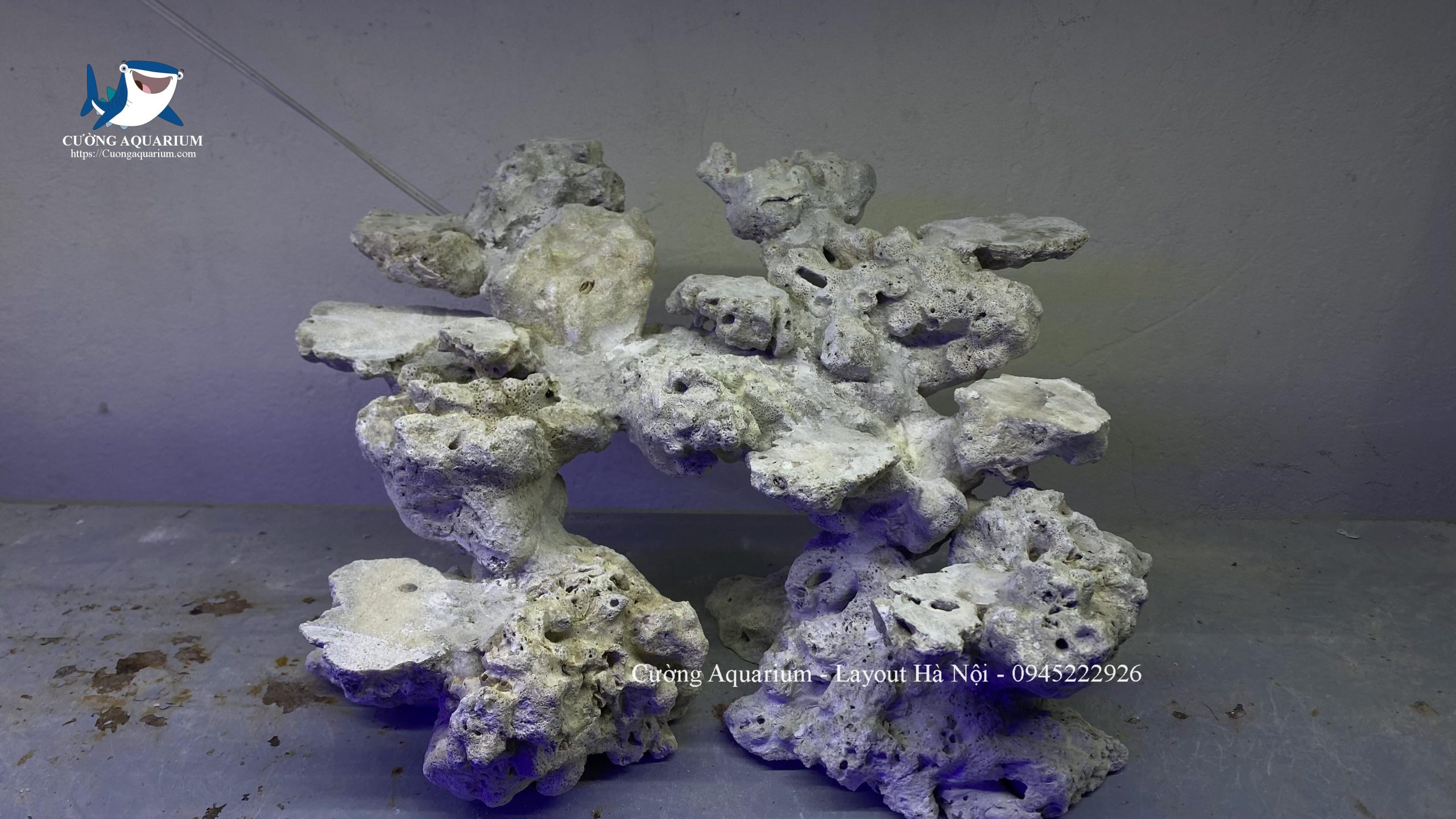 layout-ca-canh-bien-cuongaquarium (688)