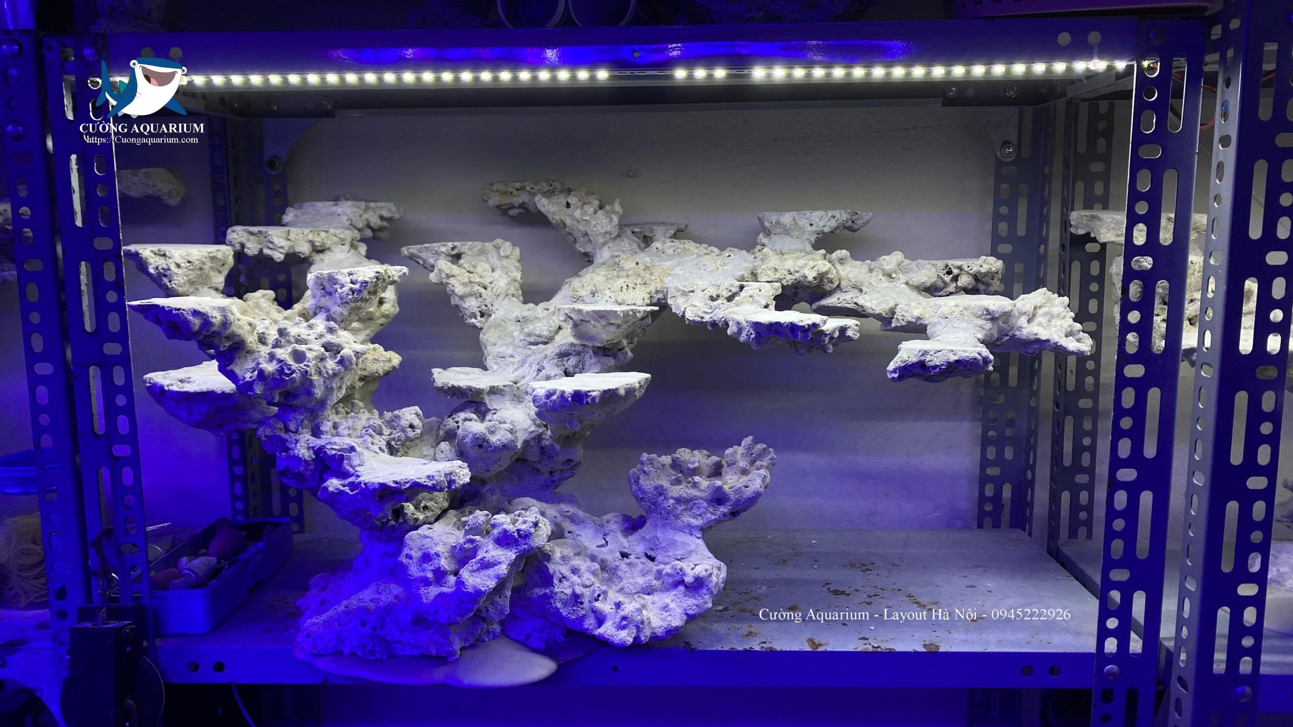 layout-ca-canh-bien-cuongaquarium (724)