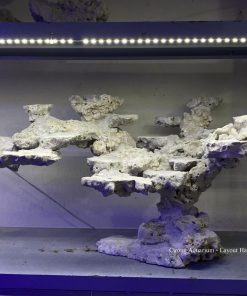 MÃ 202 - LAYOUT CÁ BIỂN BỂ 90x60x60CM - ROYALAQUA