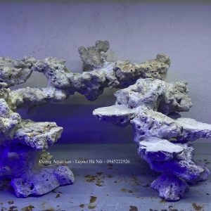 MÃ 205 - LAYOUT CÁ BIỂN BỂ 70CM - ROYALAQUA
