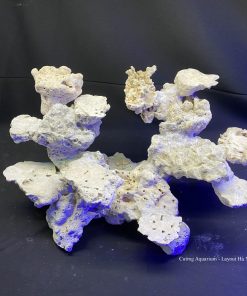 MÃ 71 - LAYOUT CÁ CẢNH BIỂN BỂ 45CM - ROYAQLAQUA