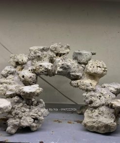 MÃ 208 - LAYOUT CÁ BIỂN BỂ CUBIC 45 LỌC VÁCH - ROYALAQUA