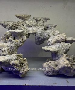 MÃ 209 - LAYOUT CÁ BIỂN BỂ 50x40x40CM - ROYALAQUA