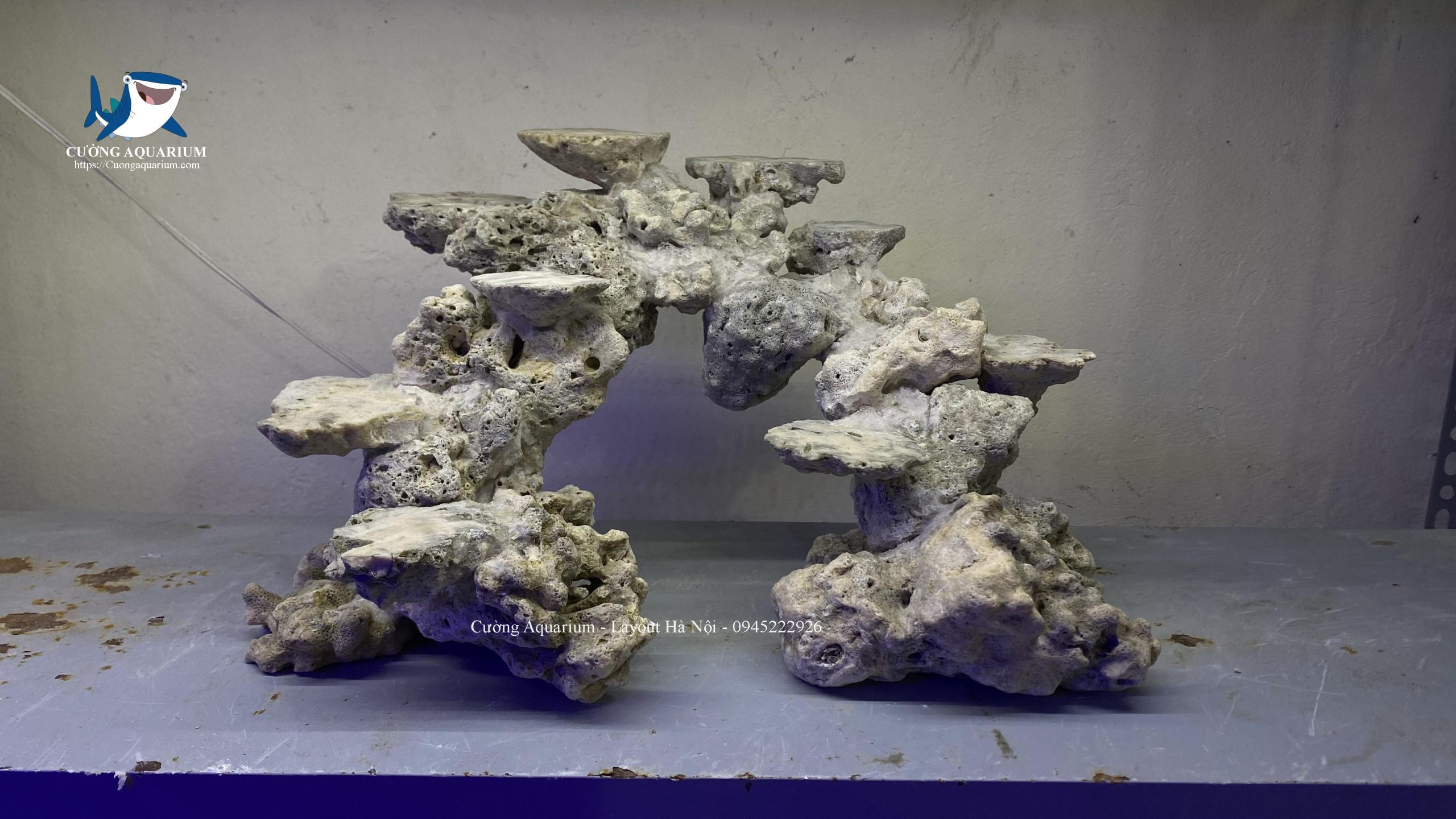 layout-ca-canh-bien-cuongaquarium (765)