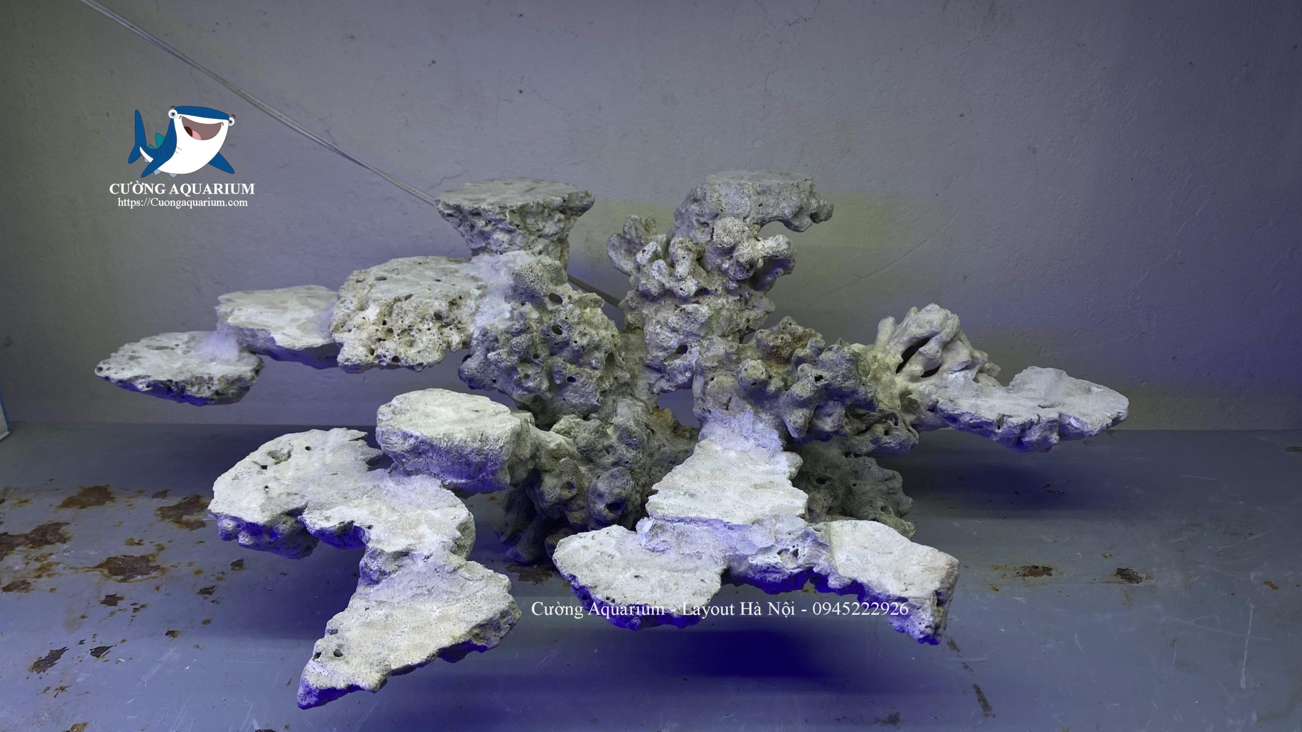 layout-ca-canh-bien-cuongaquarium (778)