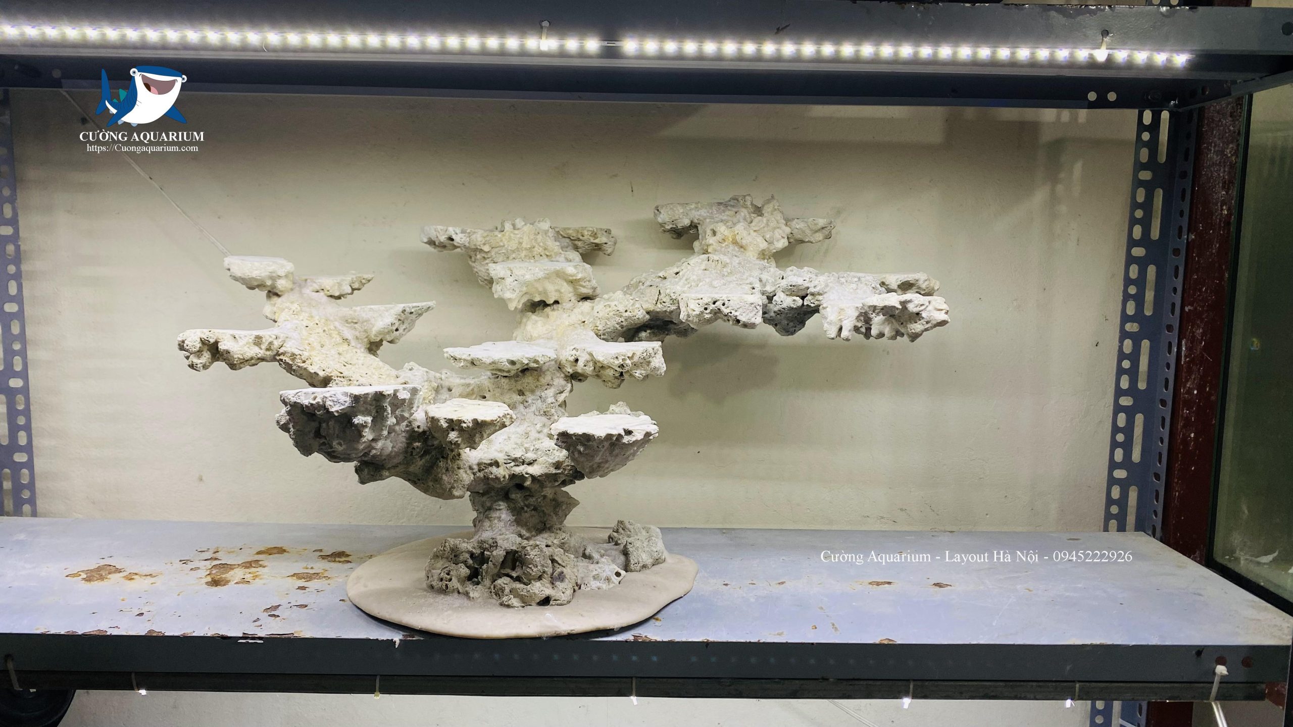 layout-ca-canh-bien-cuongaquarium (803)