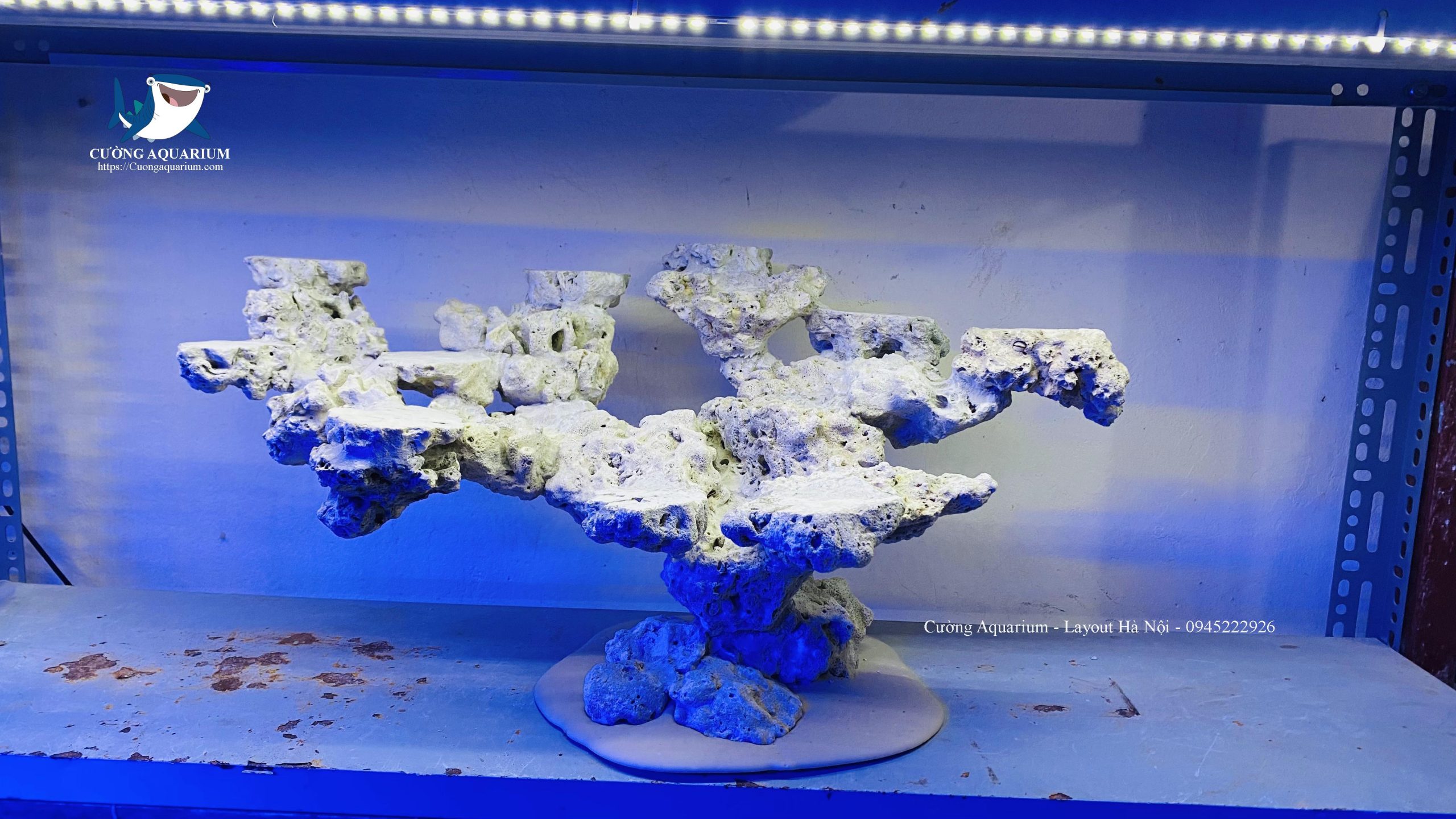 layout-ca-canh-bien-cuongaquarium (807)