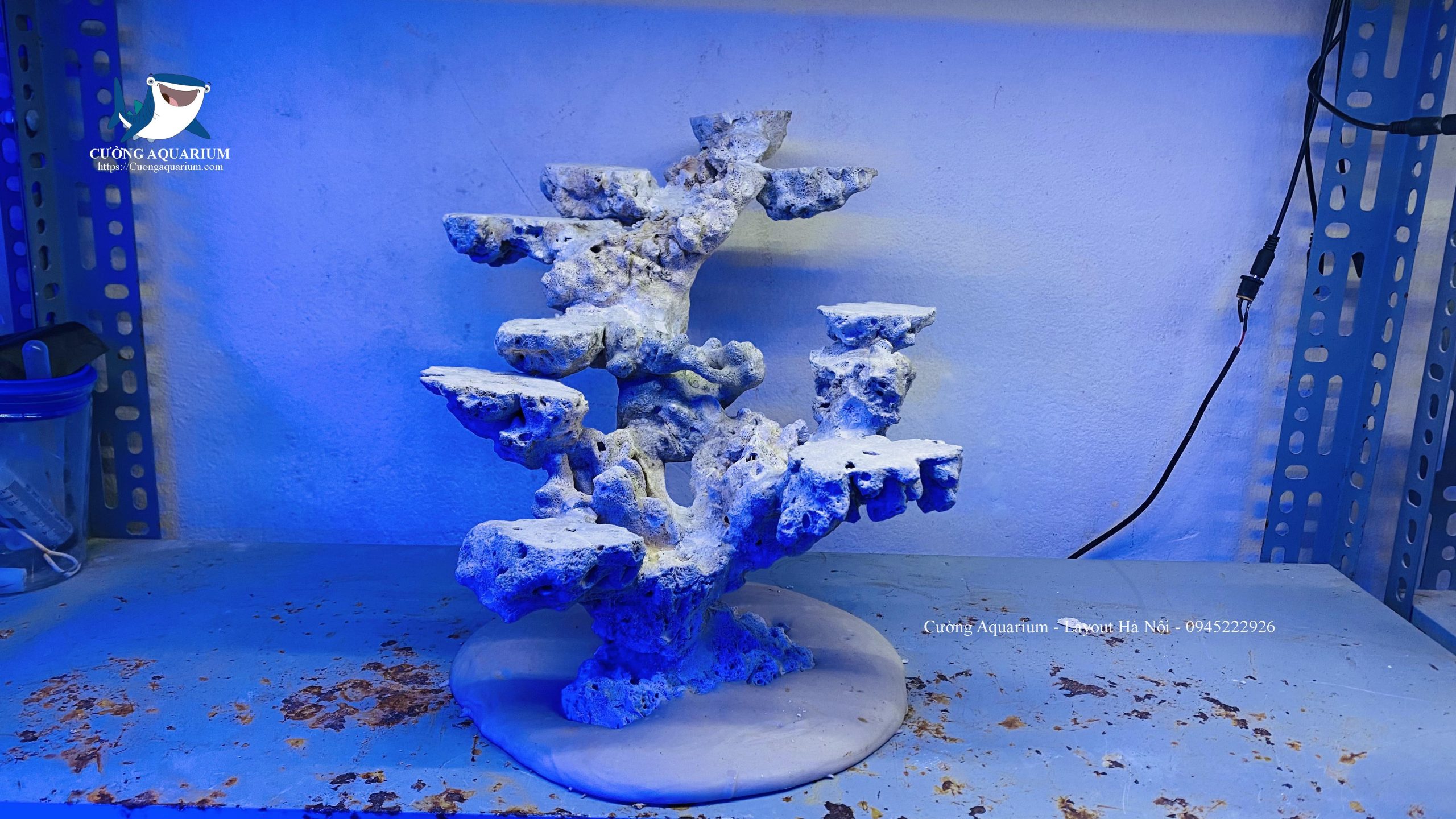 layout-ca-canh-bien-cuongaquarium (827)