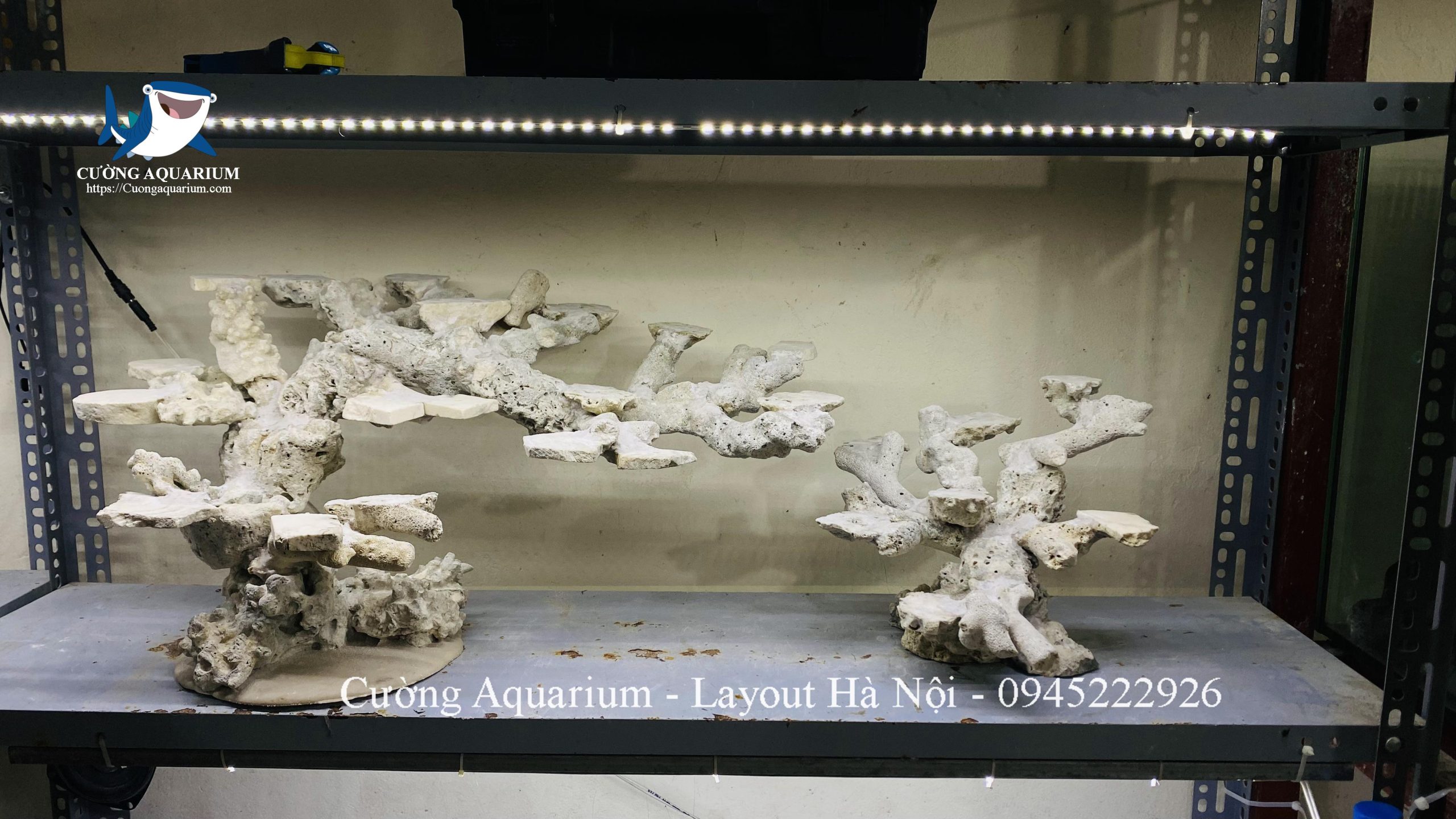 layout-ca-canh-bien-cuongaquarium (842)