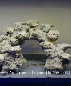 MÃ 222 - LAYOPUT CÁ BIỂN BỂ 40CM - ROYALAQUA