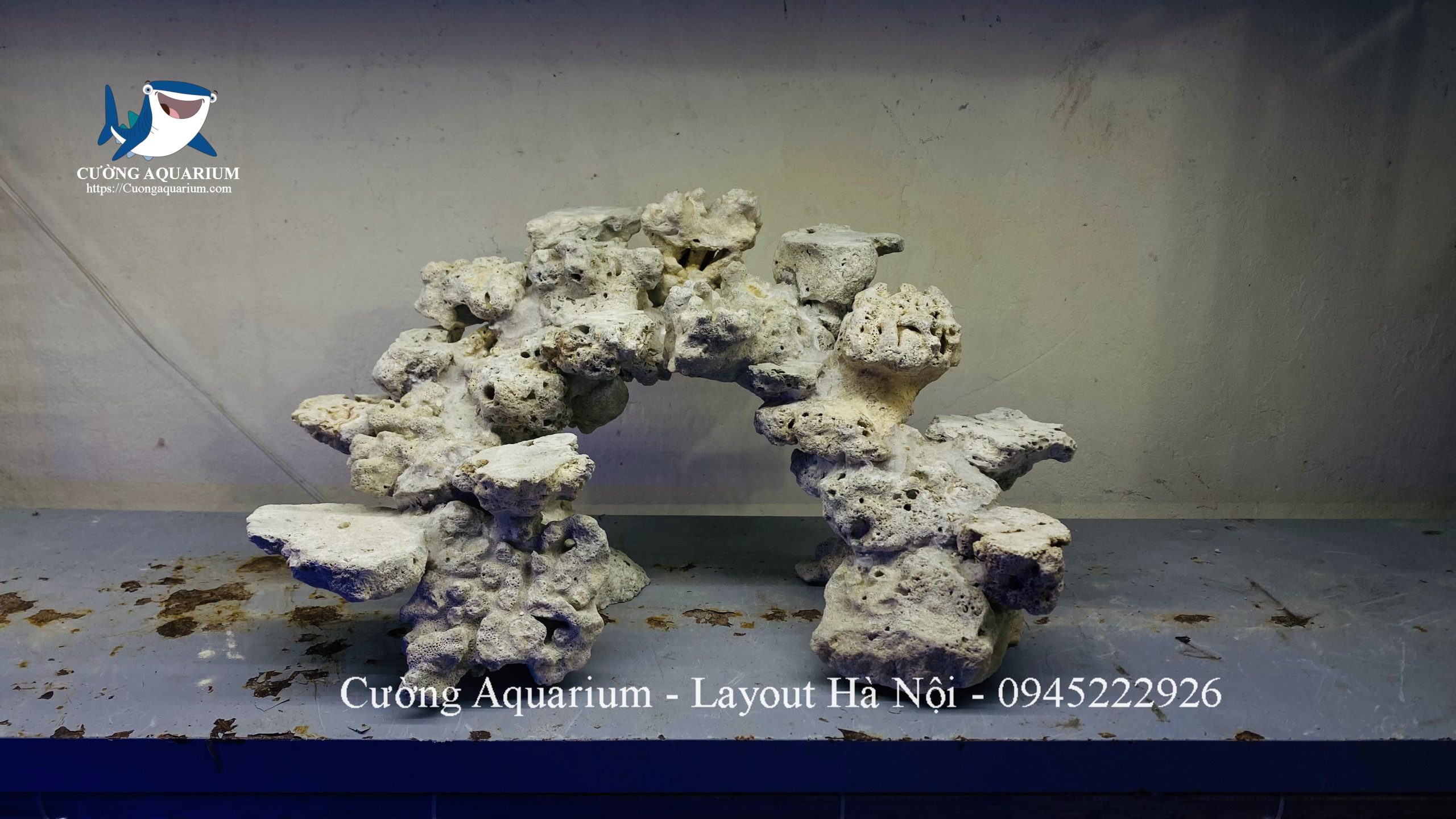 layout-ca-canh-bien-cuongaquarium (847)