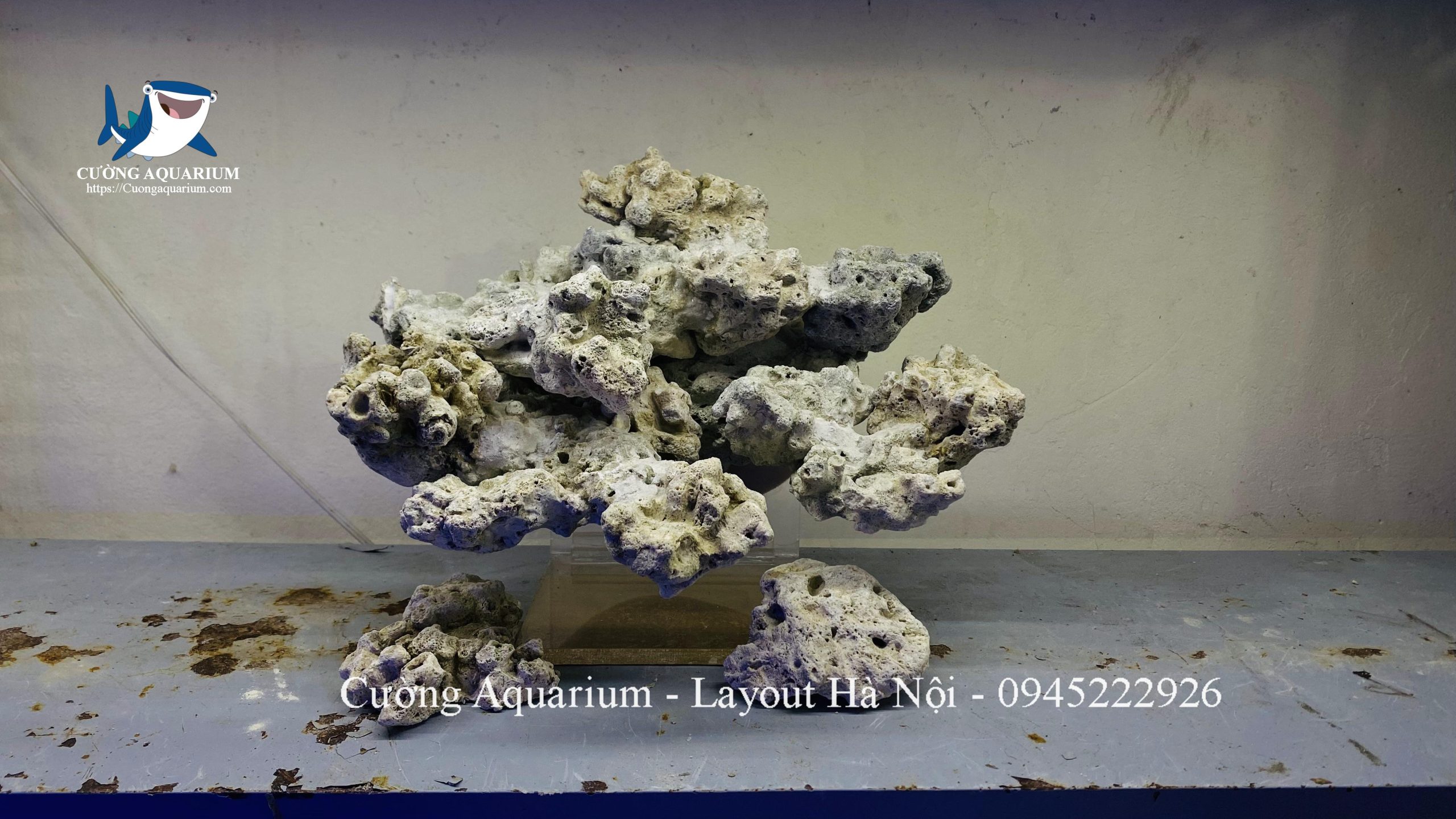 layout-ca-canh-bien-cuongaquarium (852)