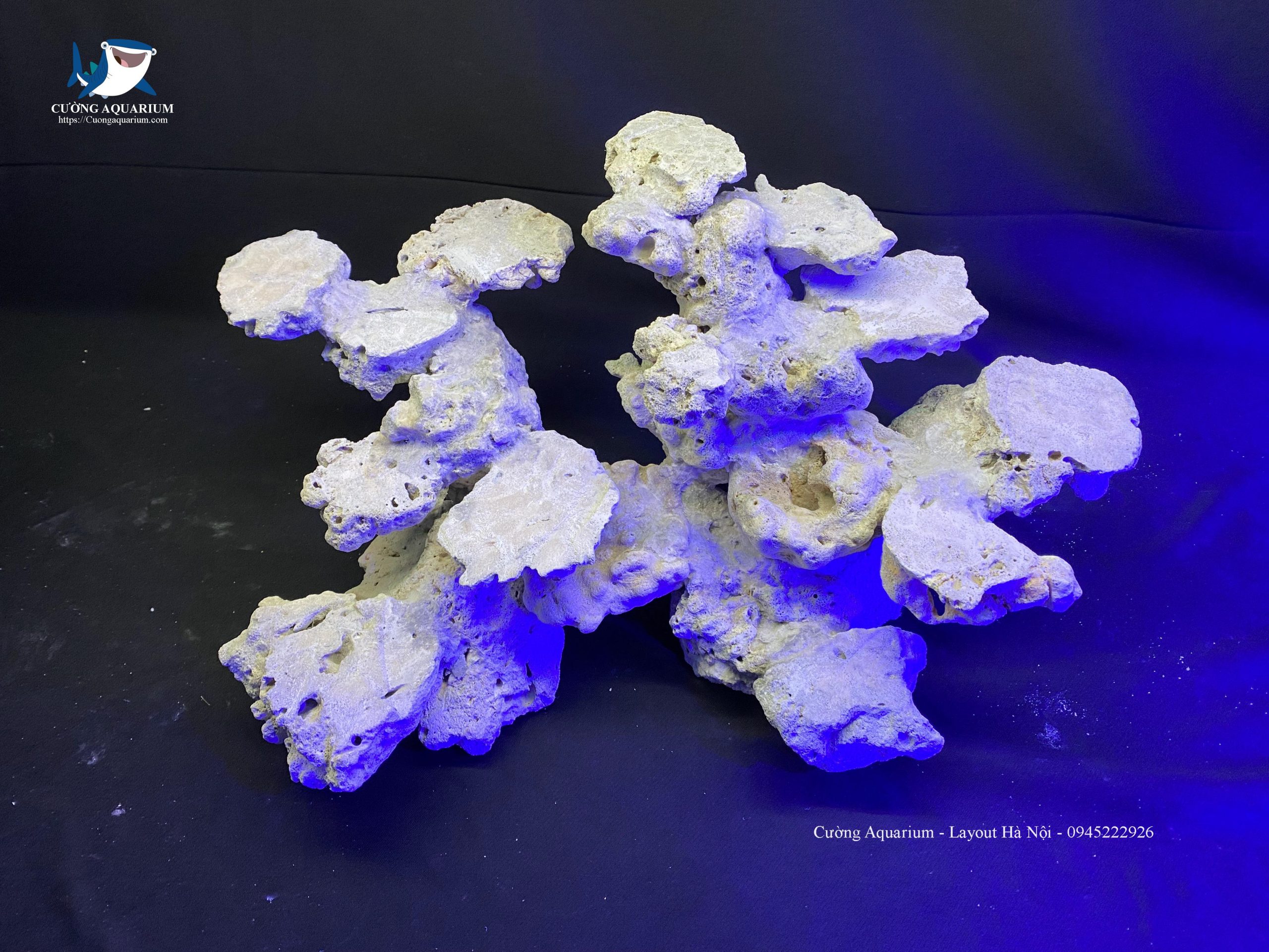 layout-ca-canh-bien-cuongaquarium (86)