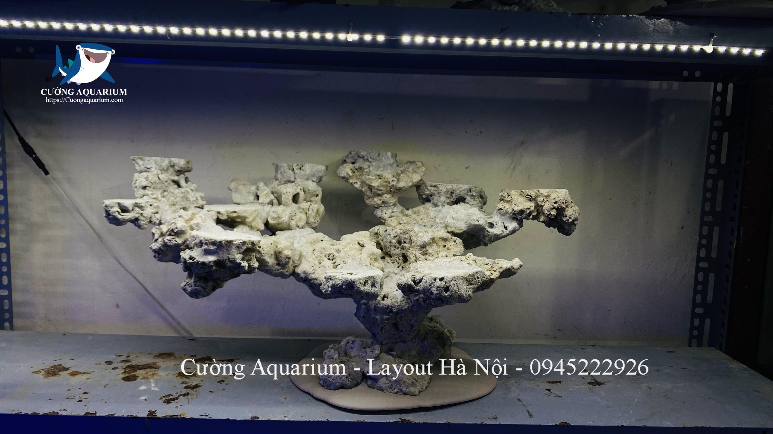 layout-ca-canh-bien-cuongaquarium (861)