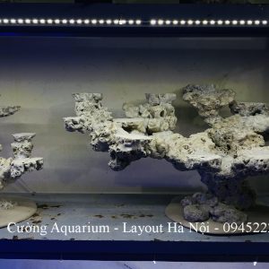 MÃ 226 - LAYOUT CÁ BIỂN BỂ 90CM - ROYALAQUA