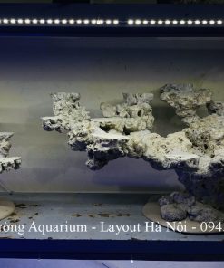 MÃ 226 - LAYOUT CÁ BIỂN BỂ 90CM - ROYALAQUA