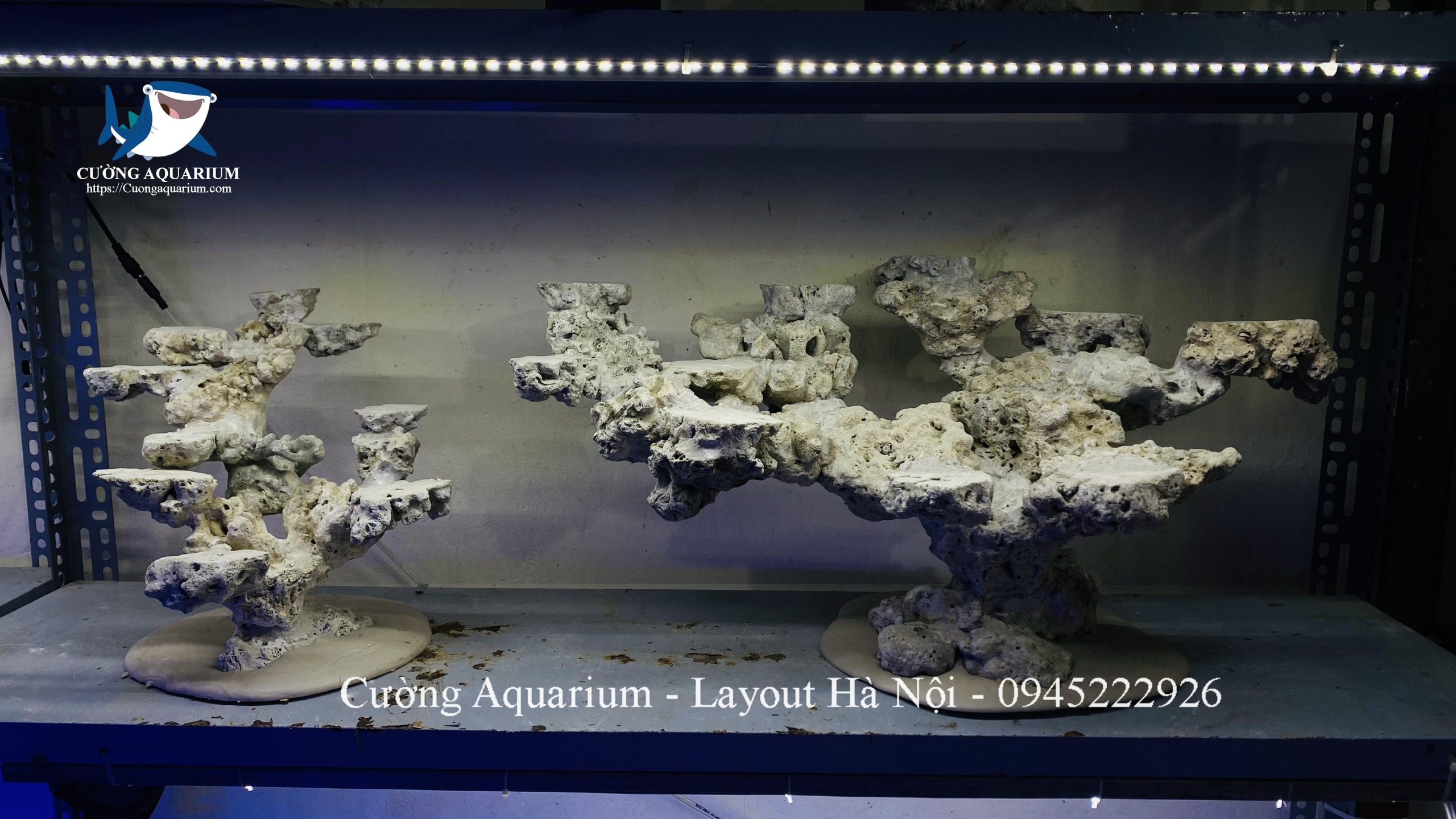 layout-ca-canh-bien-cuongaquarium (865)
