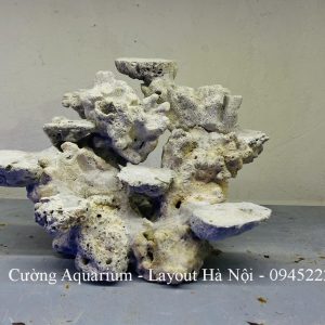 MÃ 227 - LAYOUT CÁ CẢNH BIỂN BỂ 30CM - ROYALAQUA