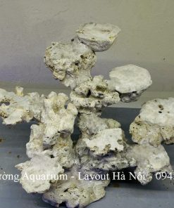 MÃ 228 - LAYOUT CÁ CẢNH BIỂN BỂ 30CM - ROYALAQUA