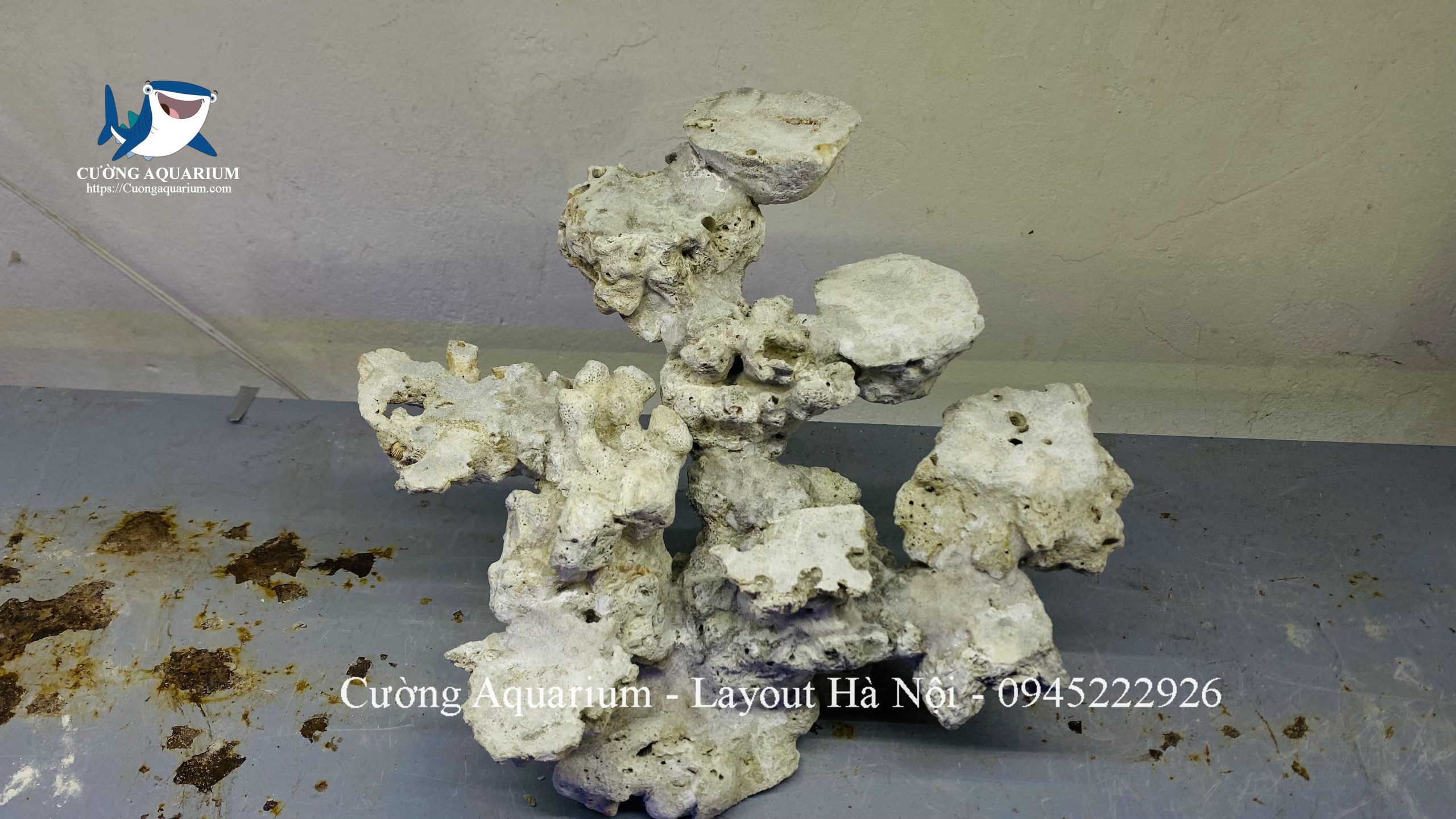 layout-ca-canh-bien-cuongaquarium (873)