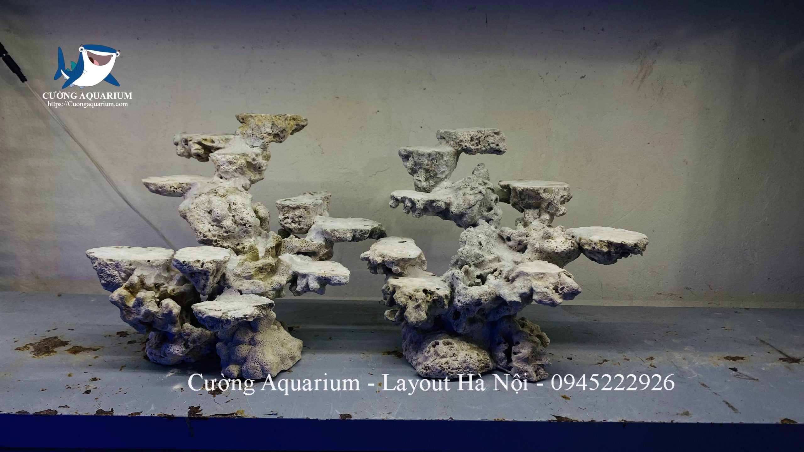 layout-ca-canh-bien-cuongaquarium (876)