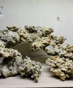 MÃ 230 - LAYOUT CÁ BIỂN BỂ 50CM - ROYALAQUA