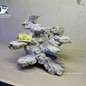 MÃ 234 - LAYOUT CÁ CẢNH BIỂN BỂ 40CM - ROYALAQUA