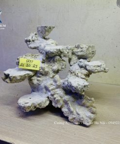 MÃ 234 - LAYOUT CÁ CẢNH BIỂN BỂ 40CM - ROYALAQUA