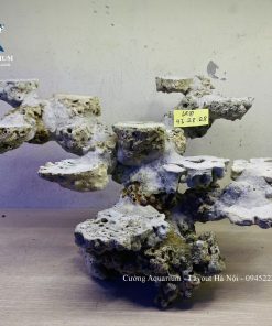 MÃ 238 - LAYOUT CÁ BIỂN BỂ 50CM - ROYALAQUA