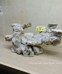 MÃ 240 - LAYOUT CÁ BIỂN BỂ 50CM - ROYALAQUA